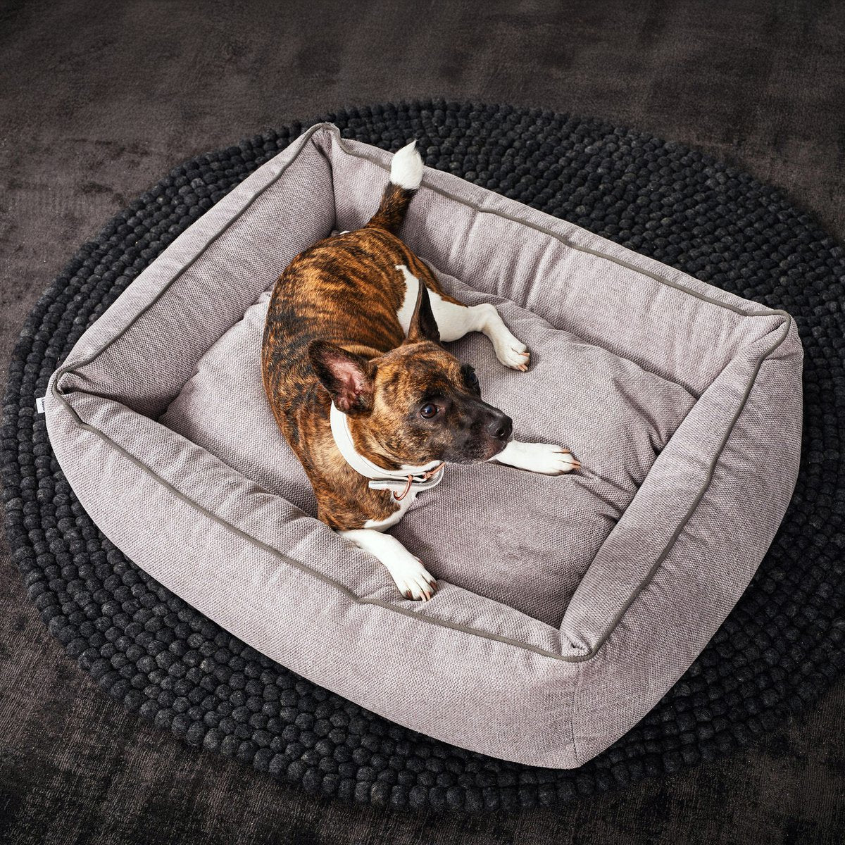 Laboni CLASSIC Hundebett - ECO Grau