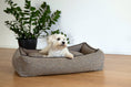 Bild in Galerie-Betrachter laden, CLASSIC Hundebett - SCALA AMBER
