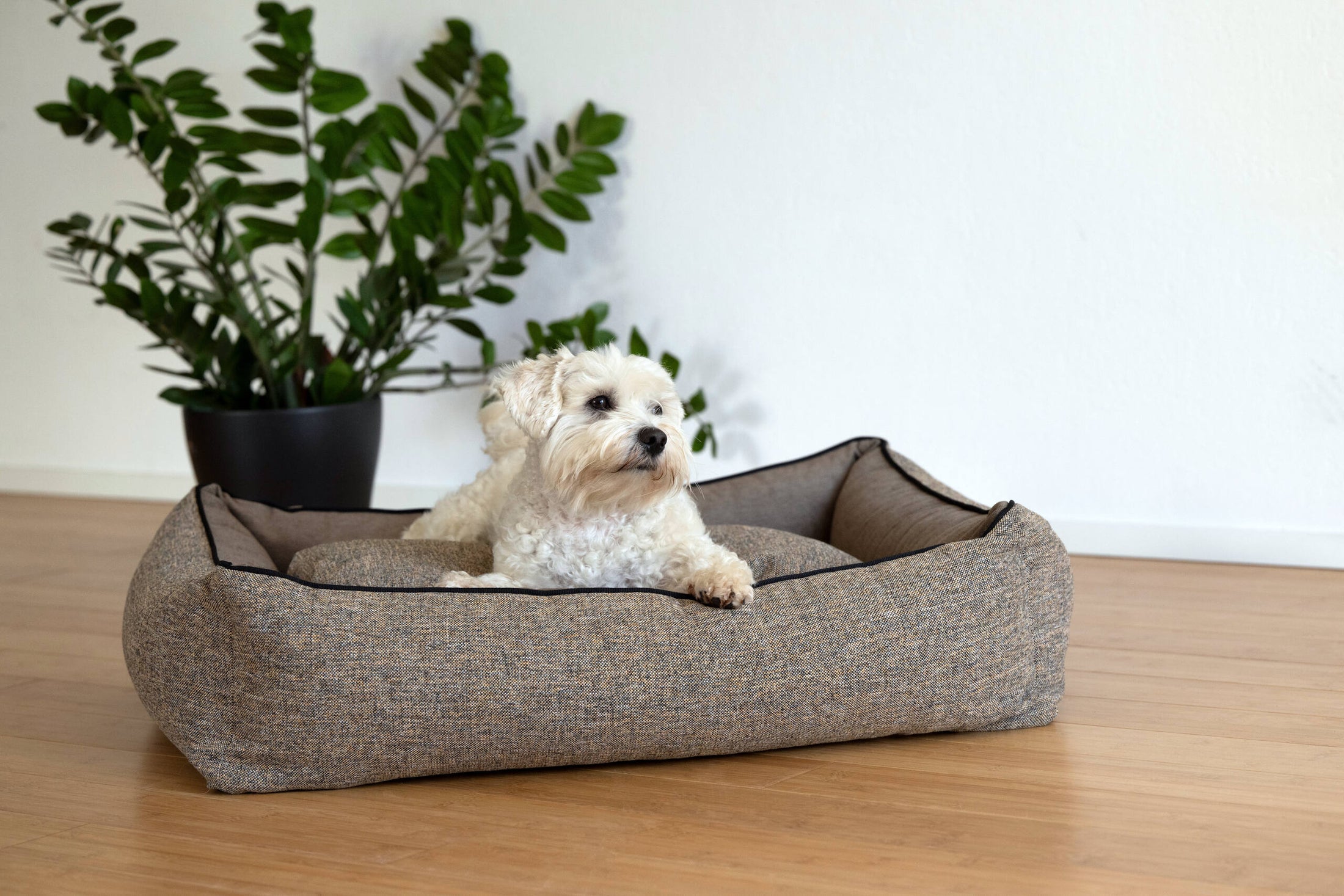 CLASSIC Hundebett - SCALA AMBER