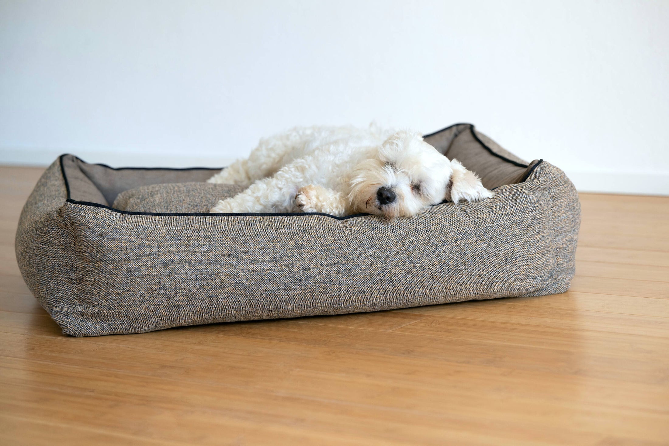 CLASSIC Hundebett - SCALA AMBER