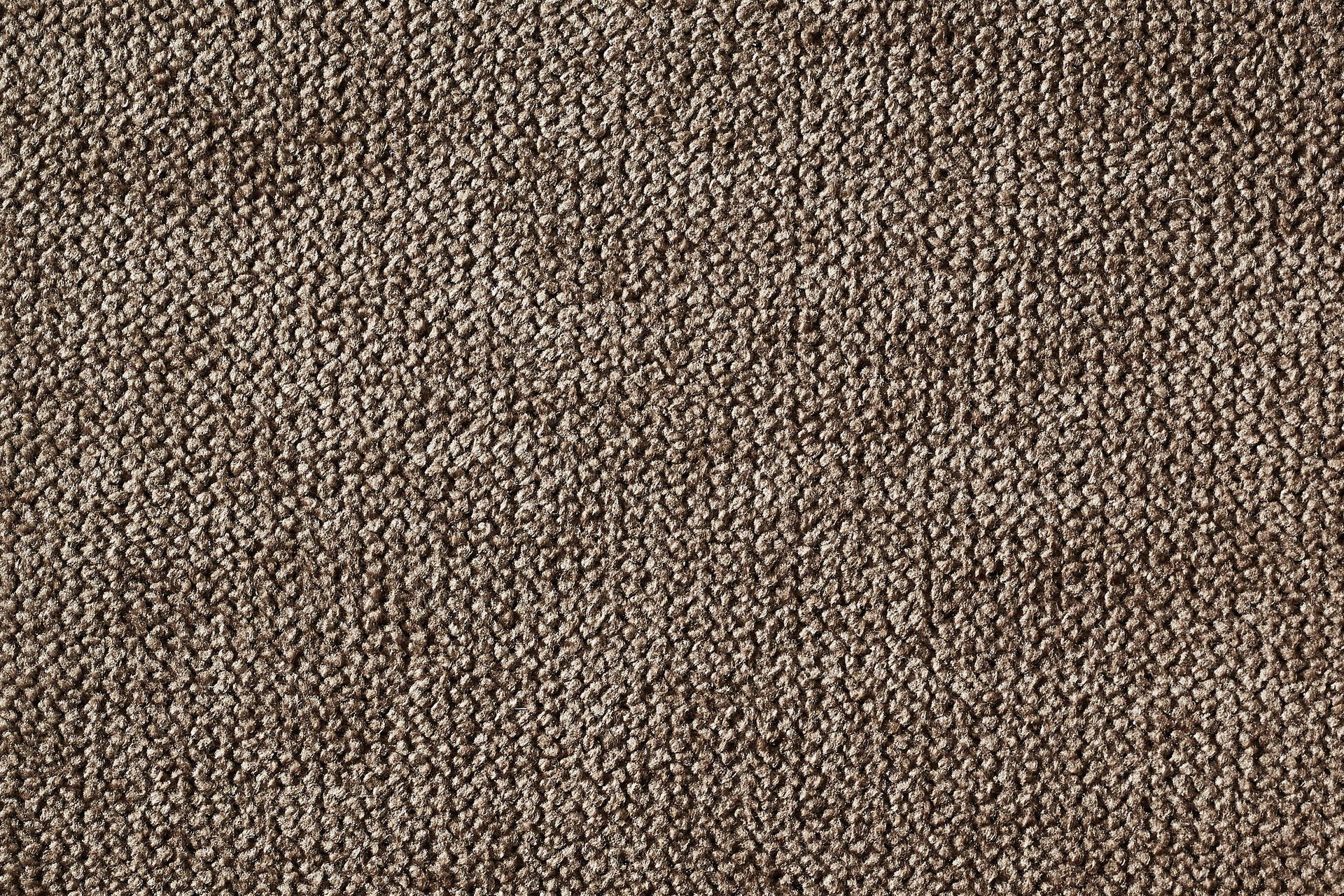 CLASSIC Hundebett - SCALA AMBER