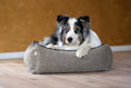 Bild in Galerie-Betrachter laden, CLASSIC Hundebett - SCALA AMBER
