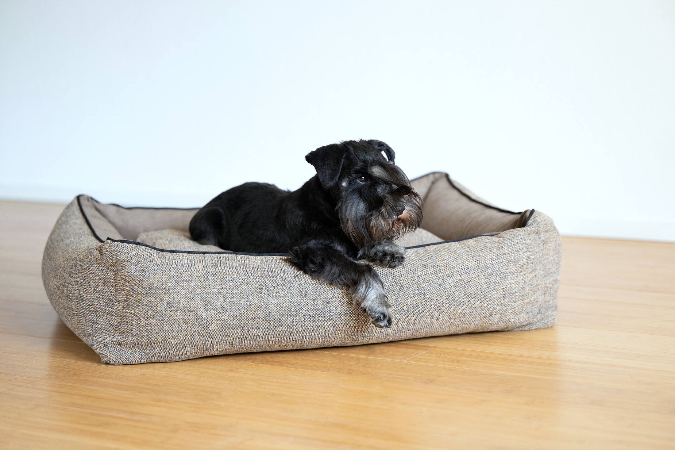 CLASSIC Hundebett - SCALA AMBER
