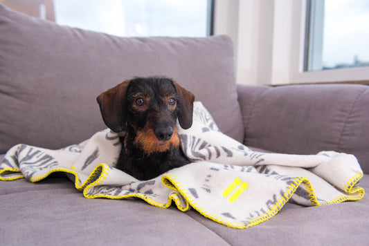 THE ZEBRA PLAID von LUMIIES® (HUNDEKUSCHELDECKE)