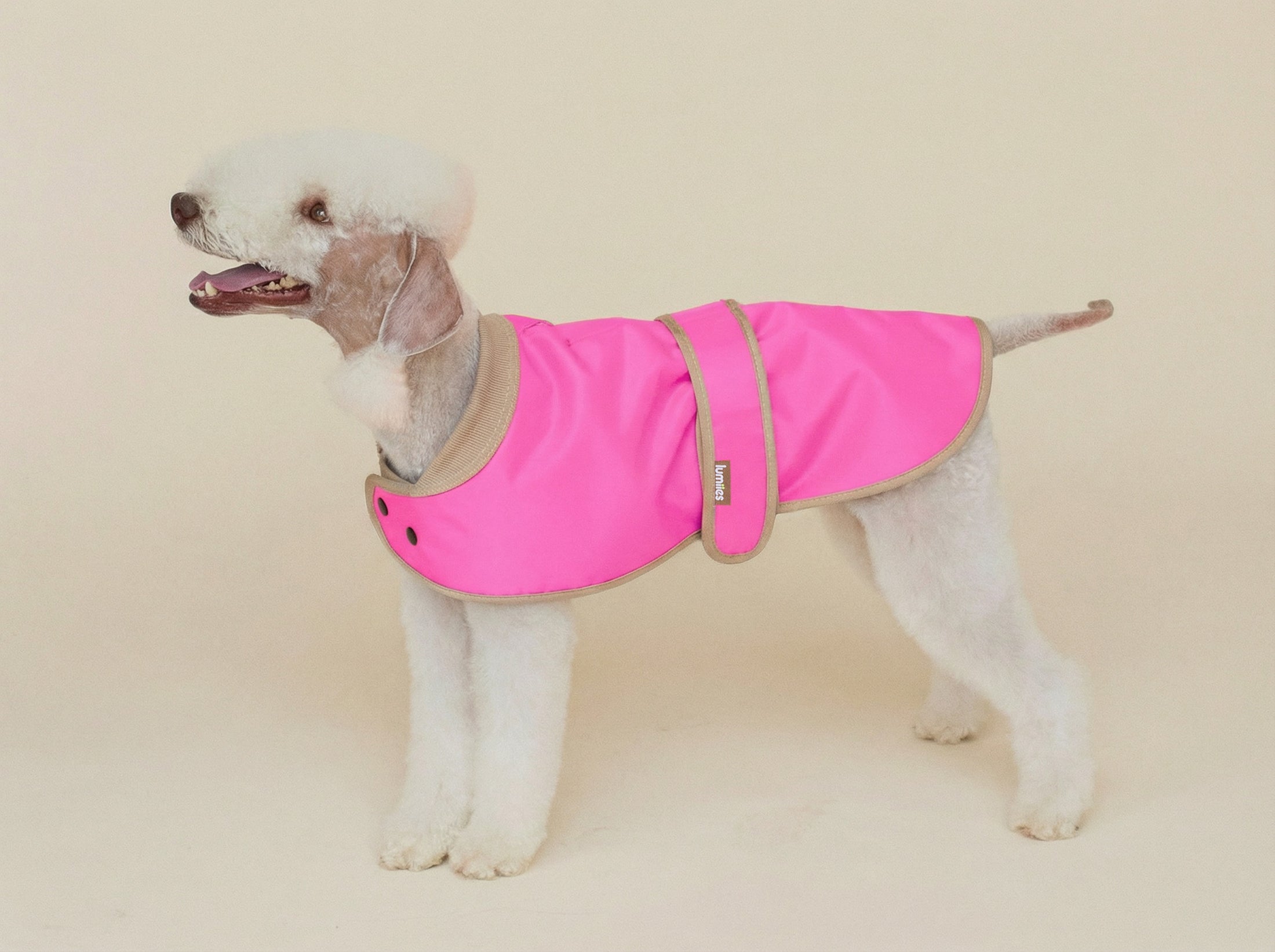 THE GLOW RAINCOAT (Dog Raincoat) Dachshund & Poodle - Fit