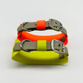 Bild in Galerie-Betrachter laden, THE CITY COLLAR (OUTDOOR) - NEON HUNDEHALSBAND WASSERDICHT
