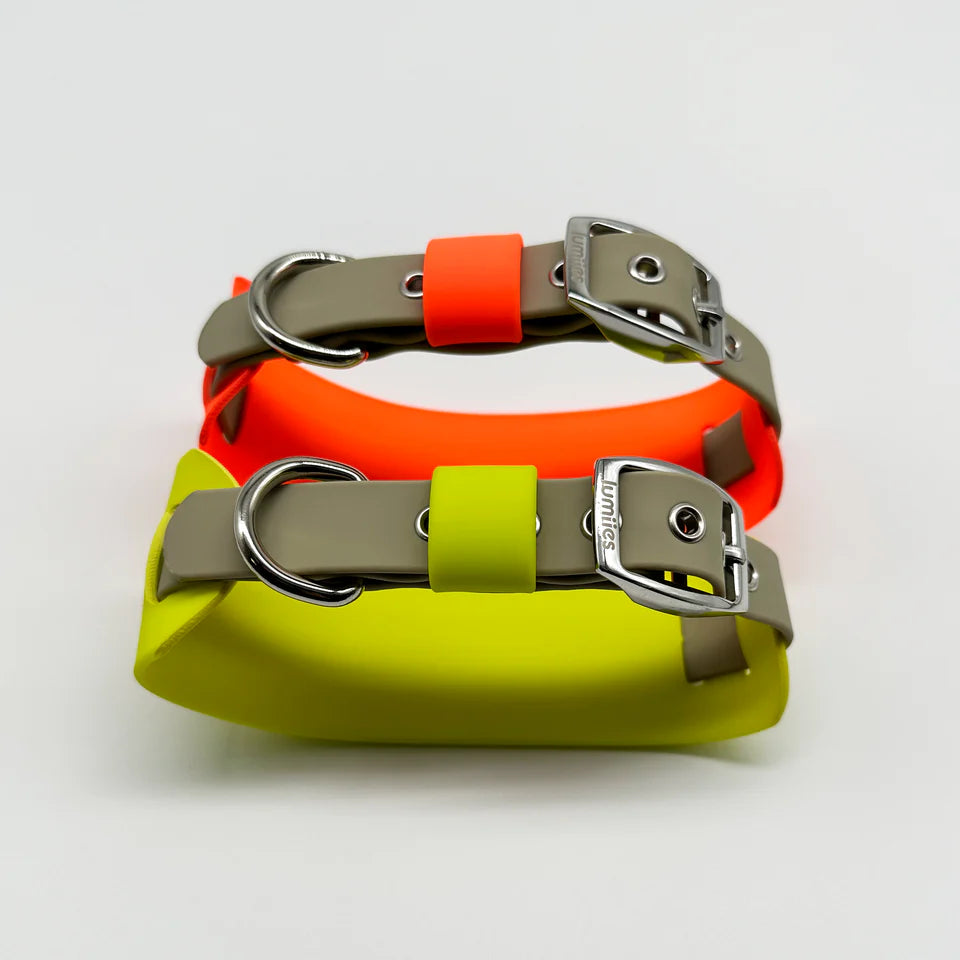 THE CITY COLLAR (OUTDOOR) - NEON HUNDEHALSBAND WASSERDICHT