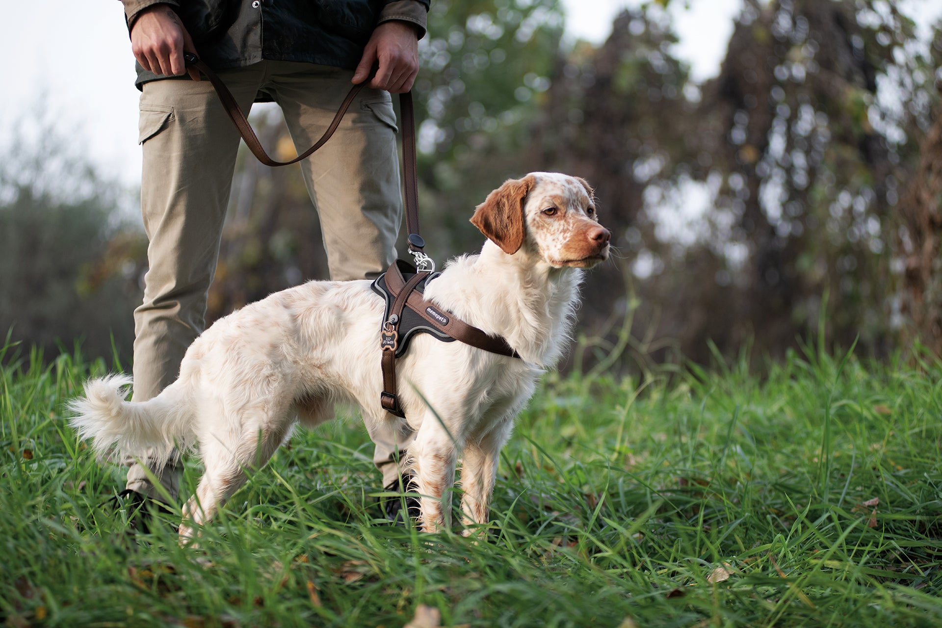 memopet® Y-Harness mit NFC Technologie