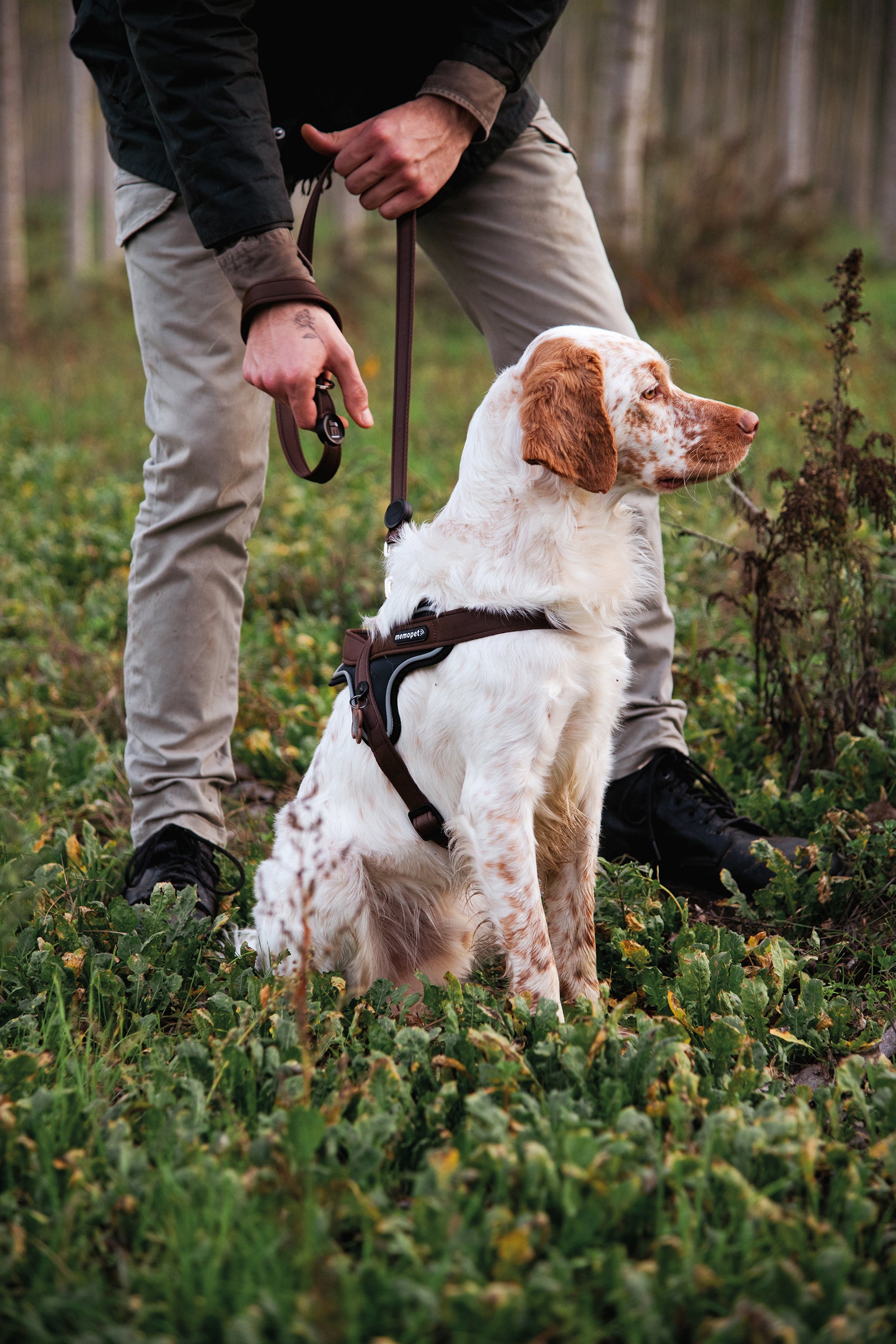memopet® Y-Harness mit NFC Technologie