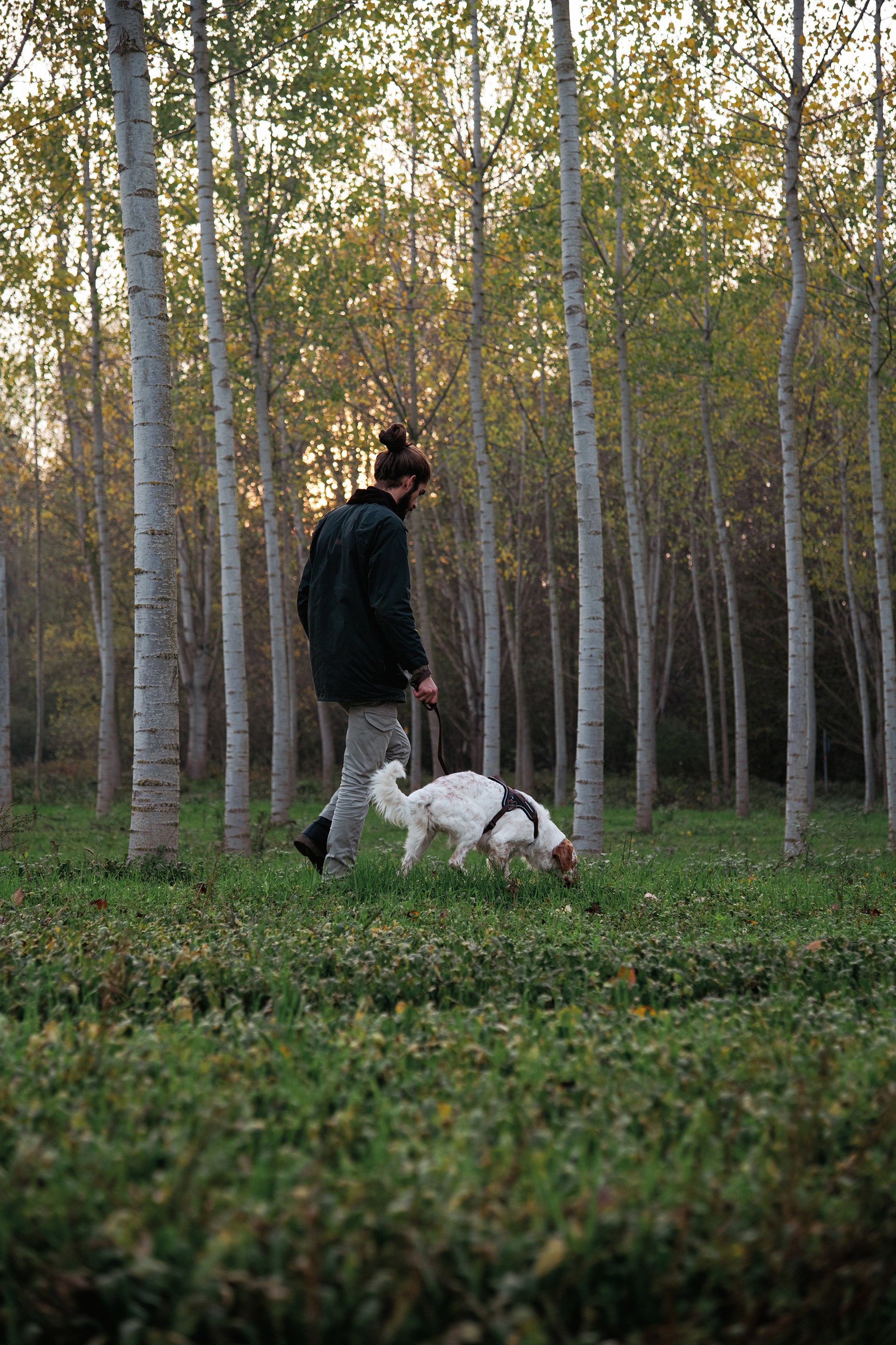 memopet® Y-Harness mit NFC Technologie