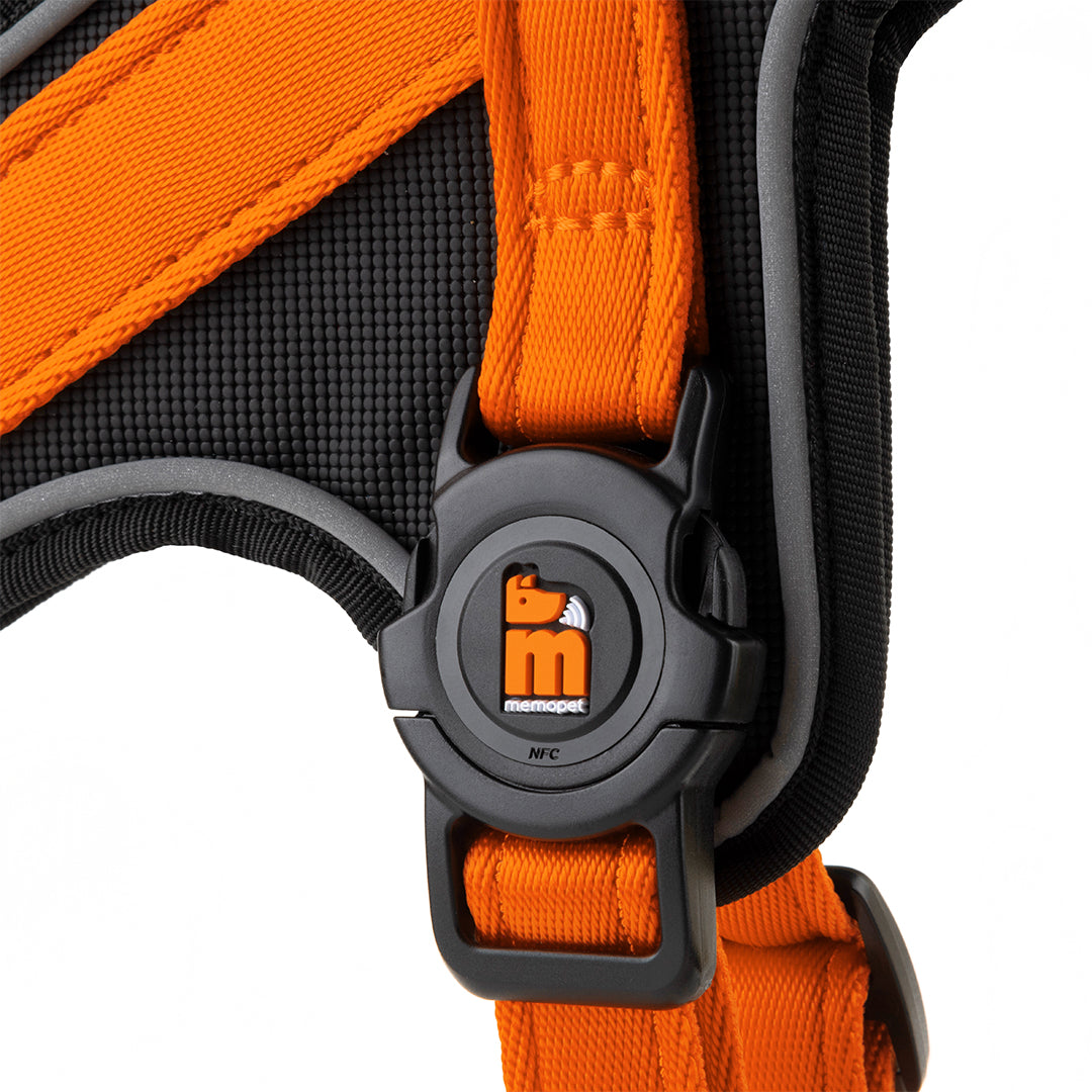 memopet® Y-Harness mit NFC Technologie