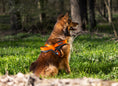 Bild in Galerie-Betrachter laden, memopet® Y-Harness mit NFC Technologie
