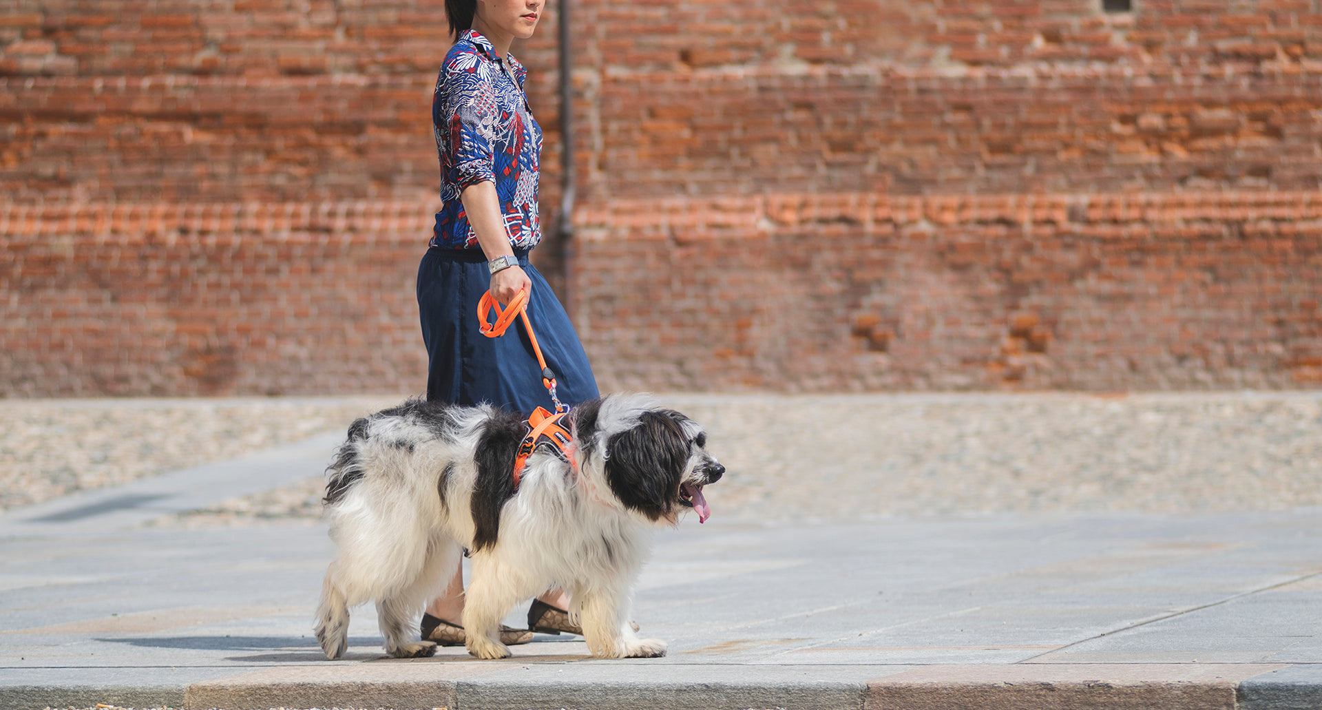 memopet® Y-Harness mit NFC Technologie