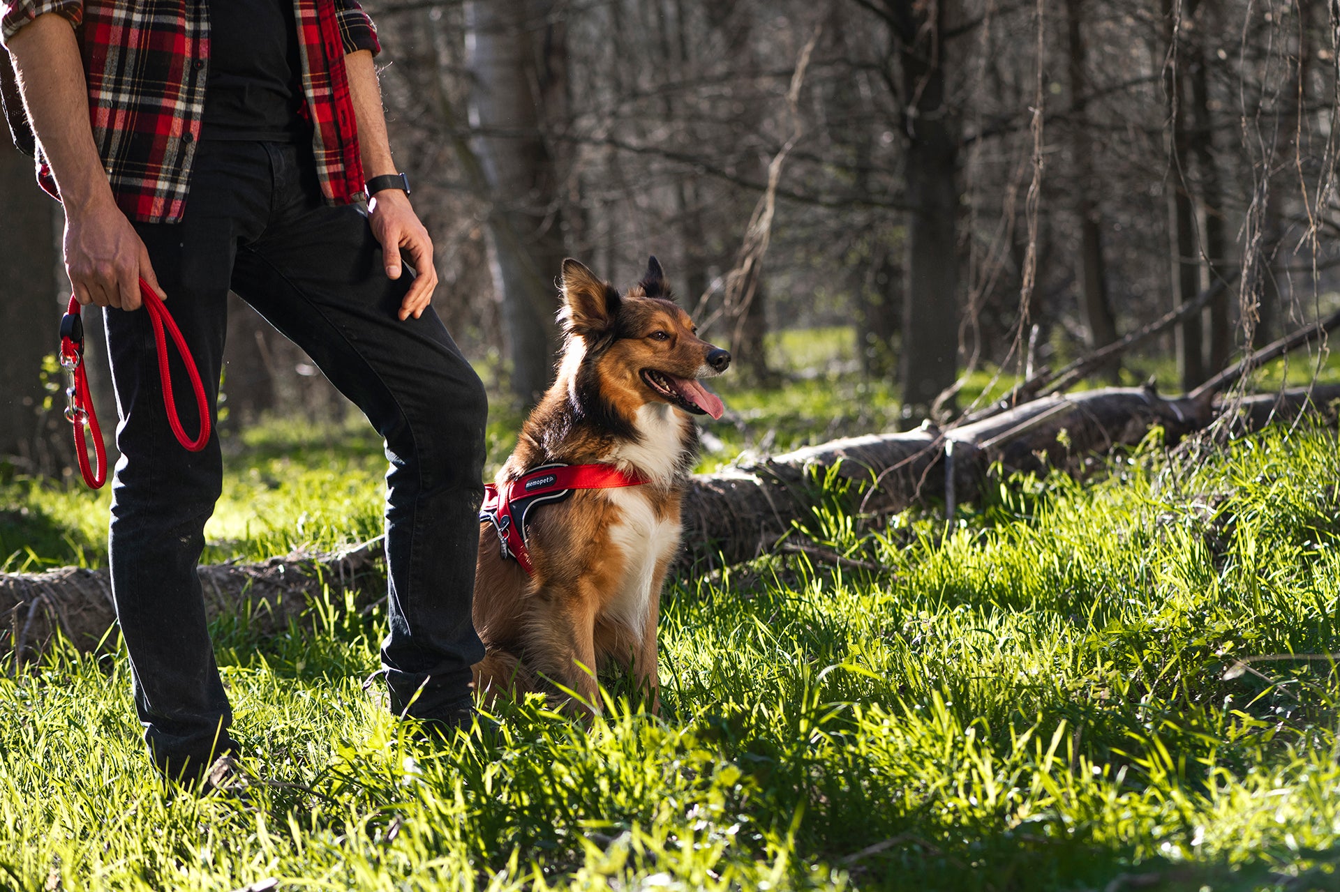memopet® Y-Harness mit NFC Technologie