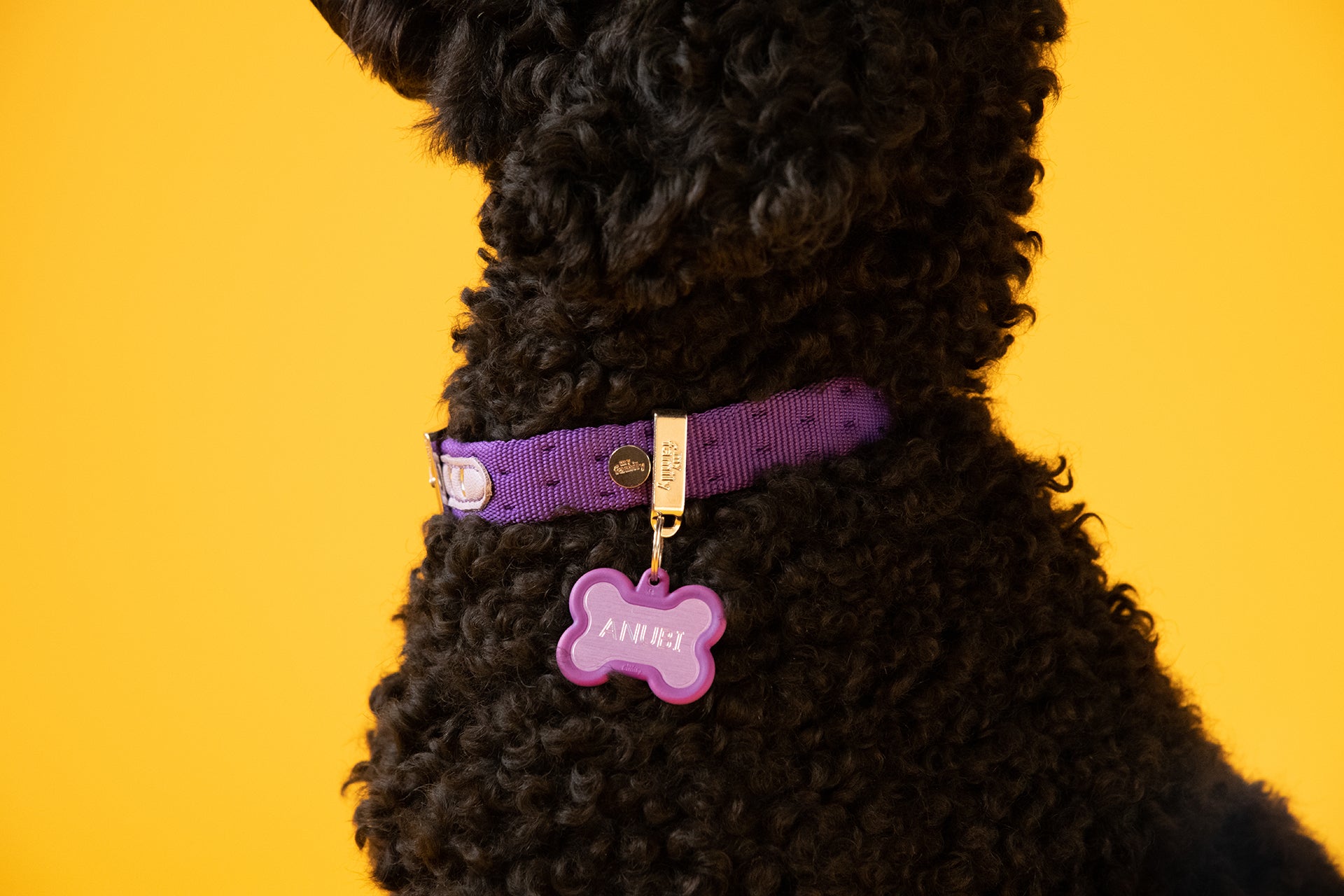 MyFamily Milano Hundehalsband aus italienischem Nylon in Premier-Qualität