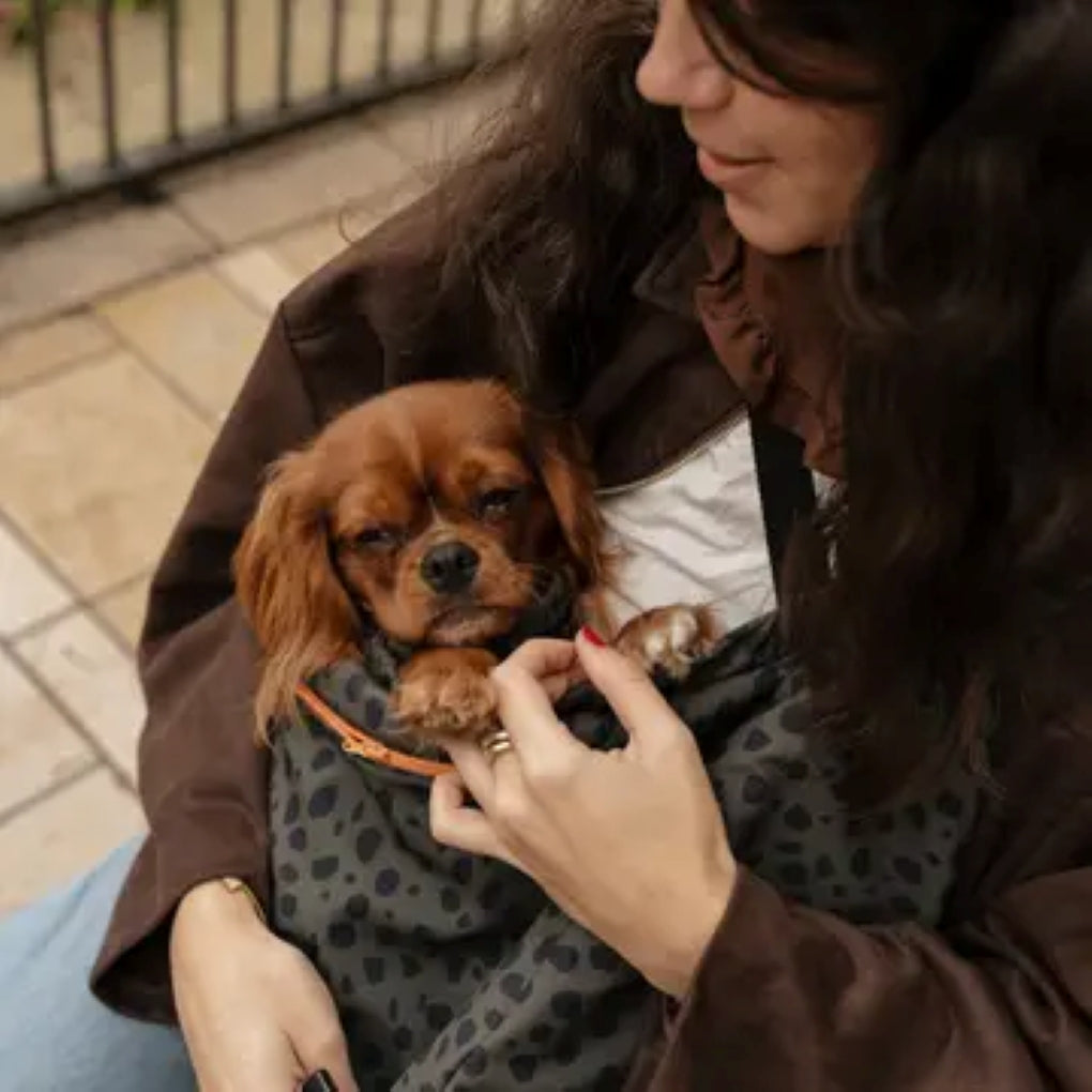 MOOF. Barcelona Le Loop Jungle – stilvolle Hundetragetasche für kleine Hunde