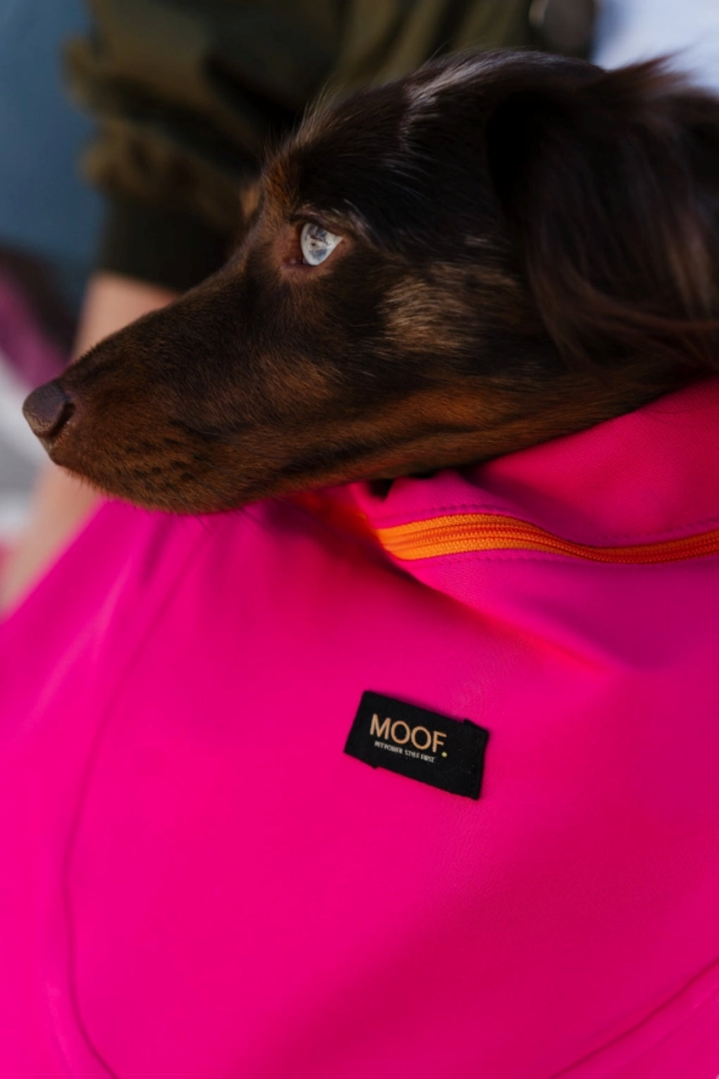 MOOF. Barcelona Le Loop Pink Schleife – stilvolle Hundetragetasche für kleine Hunde