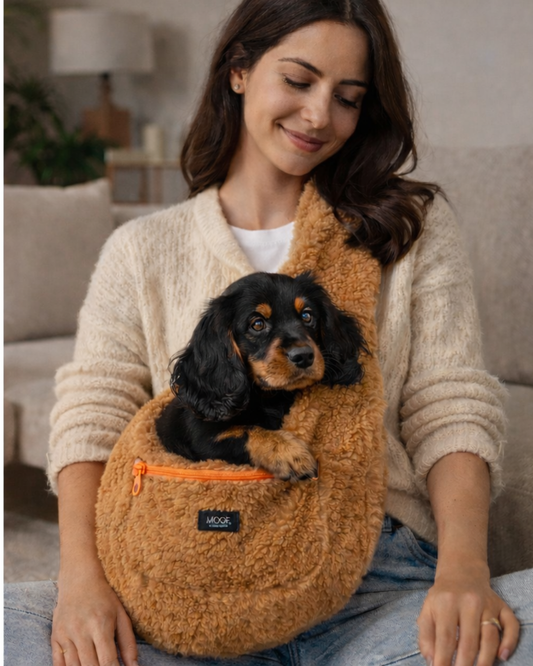 MOOF_Barcelona_LeLoop_Hundetragetasche_Teddy_ecopetique_1