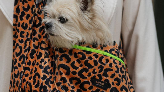 Hundebeutel-Tragetasche von MOOF Barcelona in WILD Leopardenmuster für kleine Hunde bis 4 und 8 KG