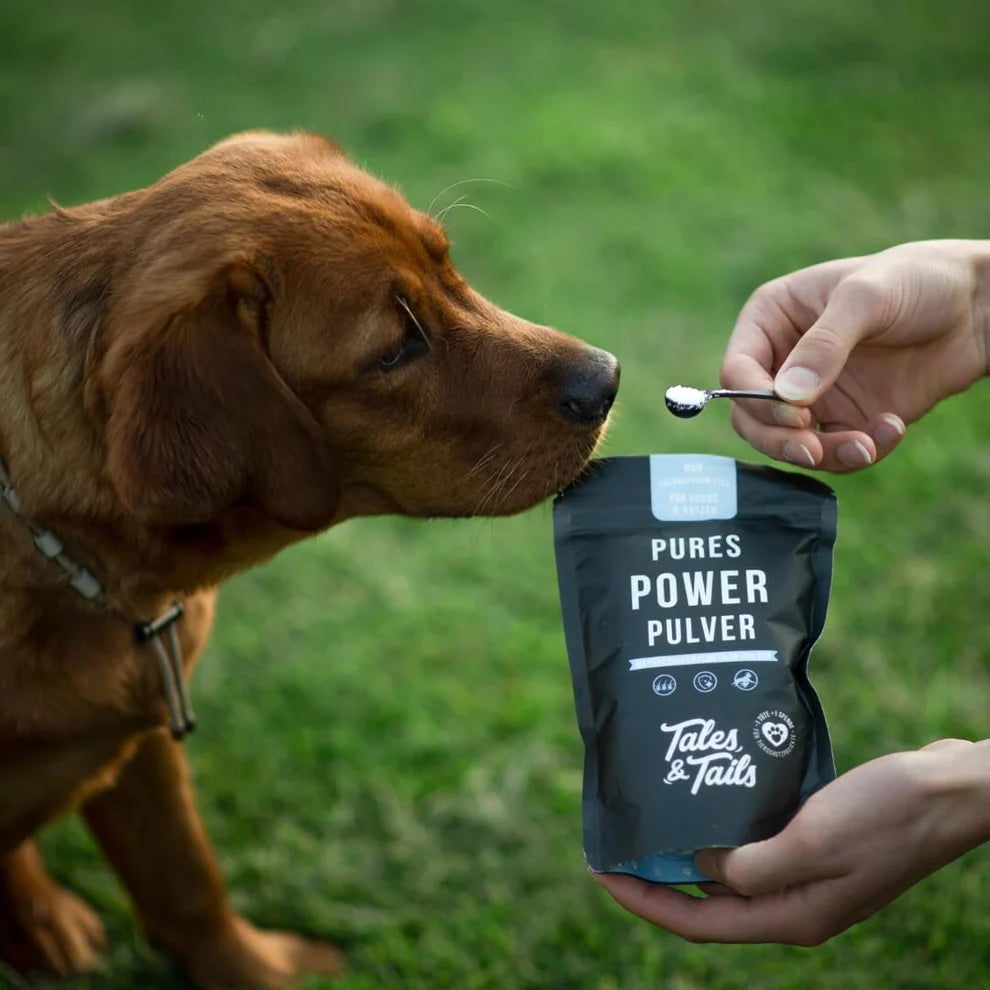 Pures Power Pulver für Hunde