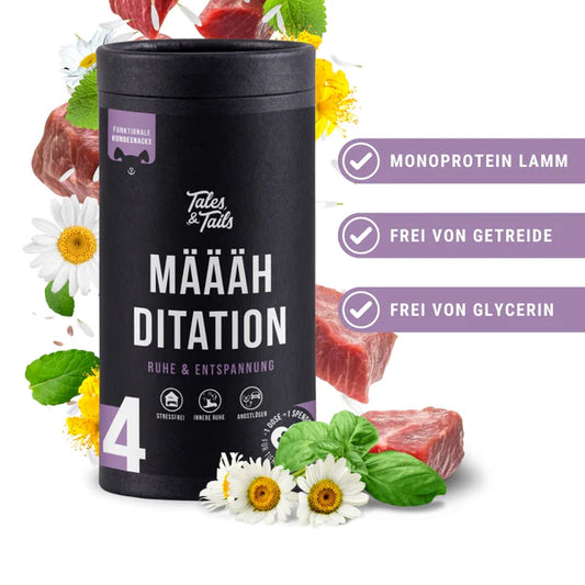 Nr. 4 - Määähditation