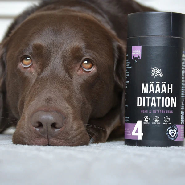 Hunde Nahrungsergänzung
