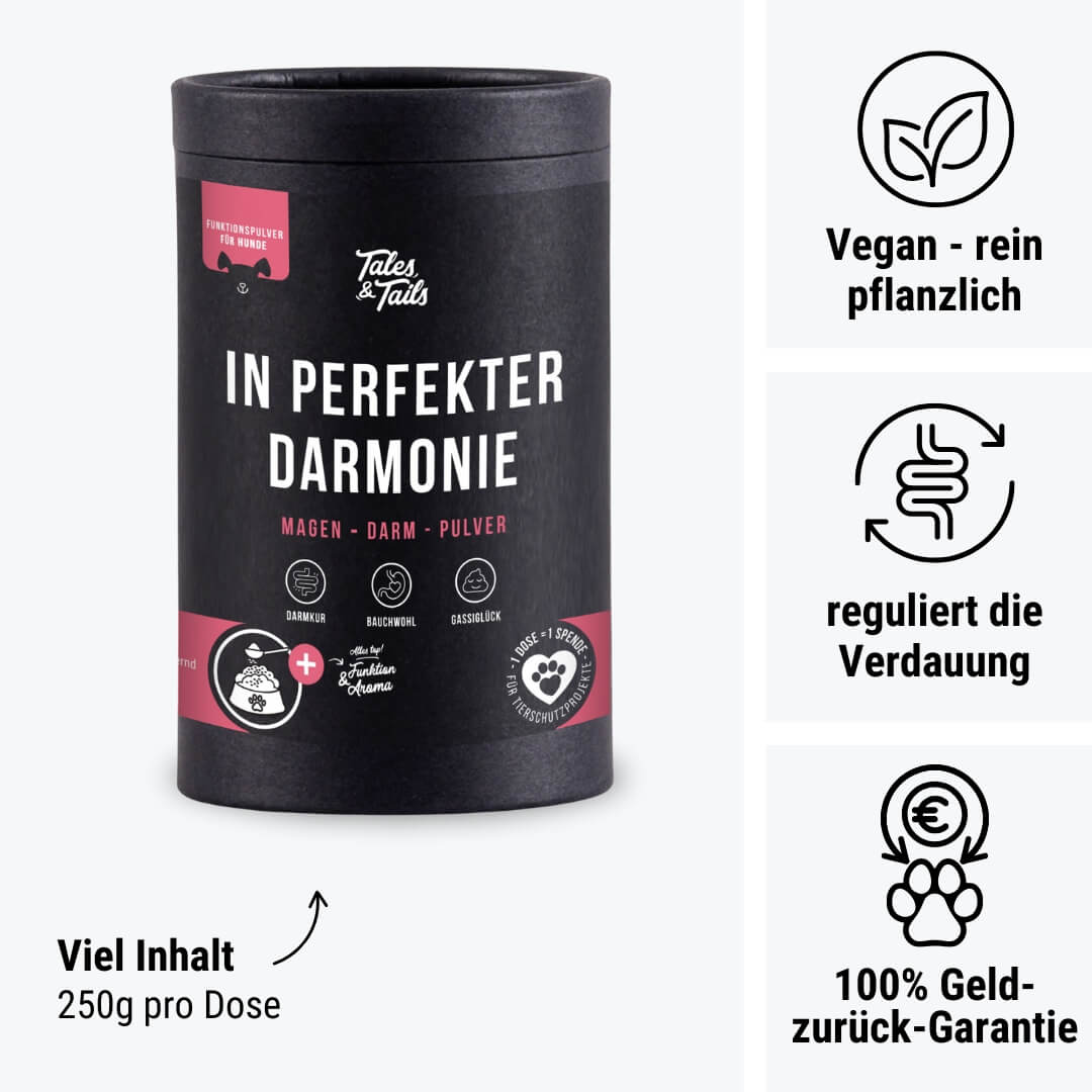 Hunde Nahrungsergänzung