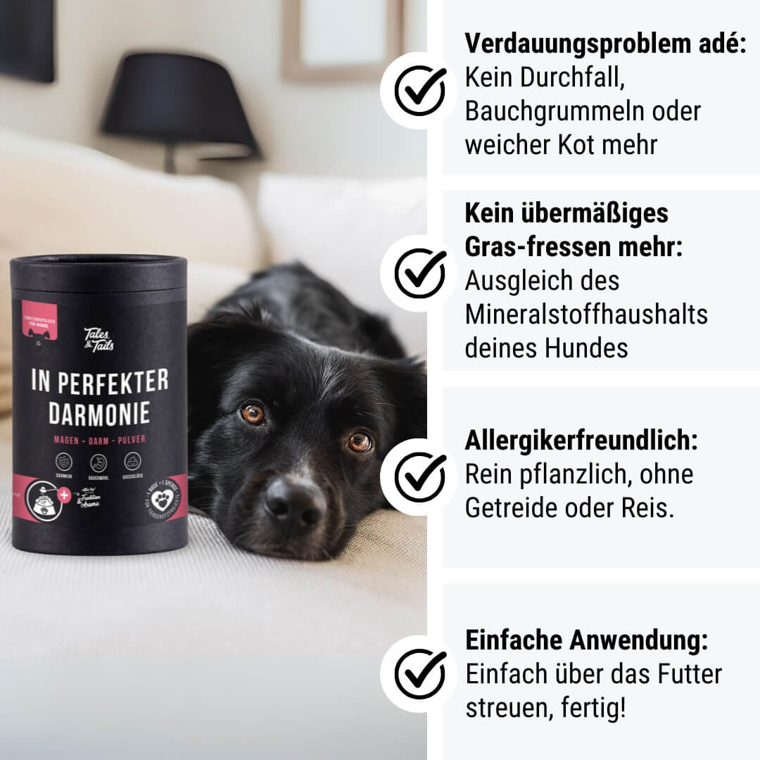 In perfekter Darmonie