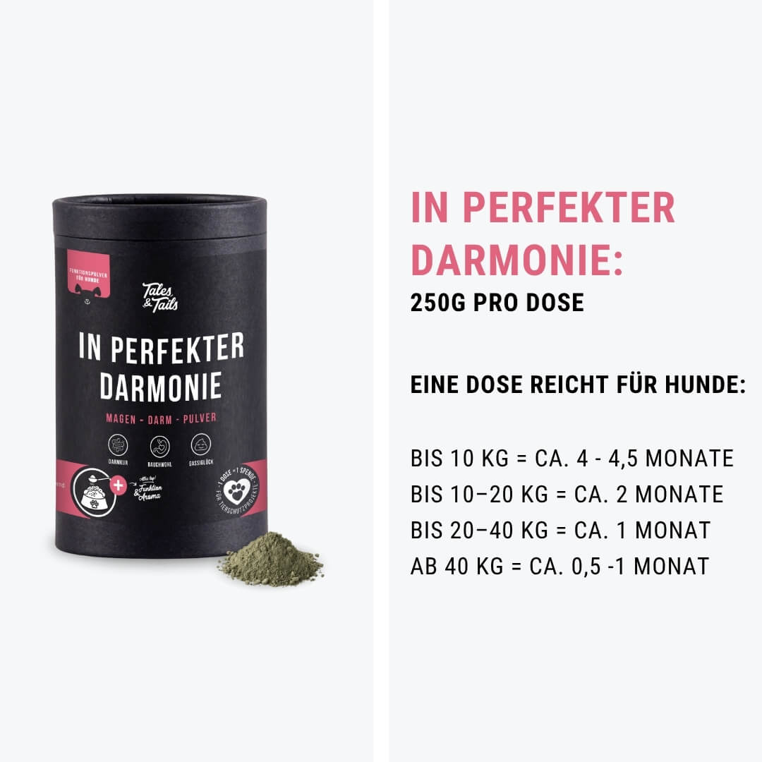 In perfekter Darmonie