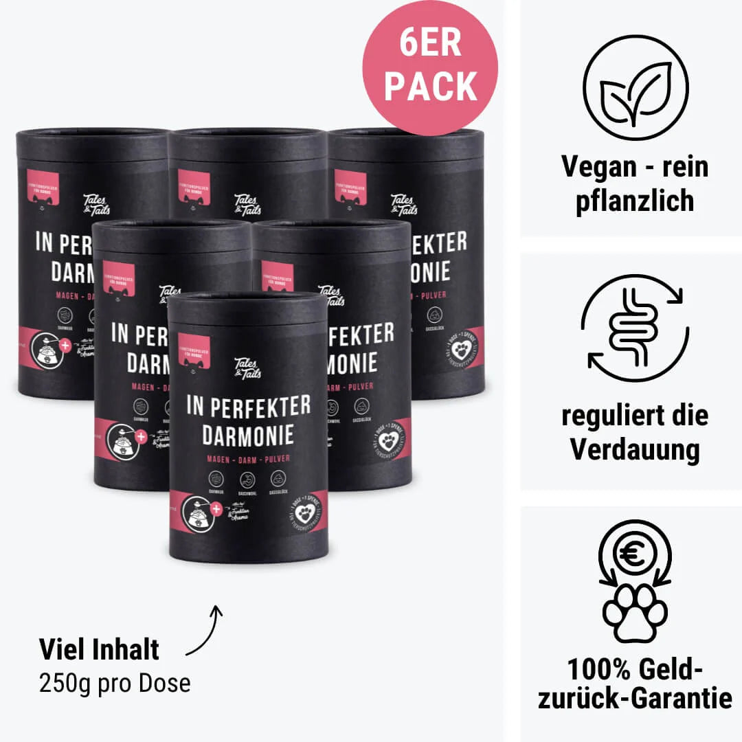 In perfekter Darmonie