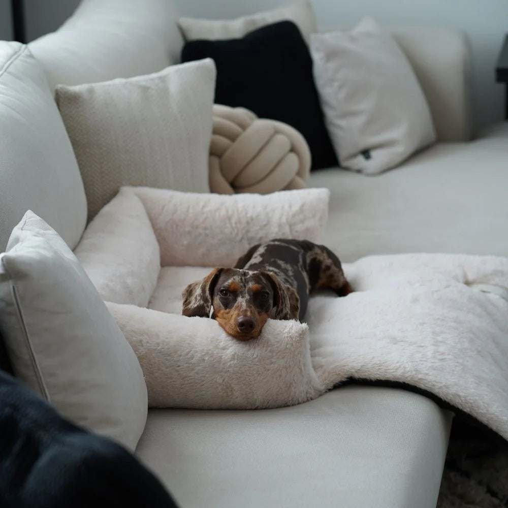 NUZZLE Schlafsofa für die Couch