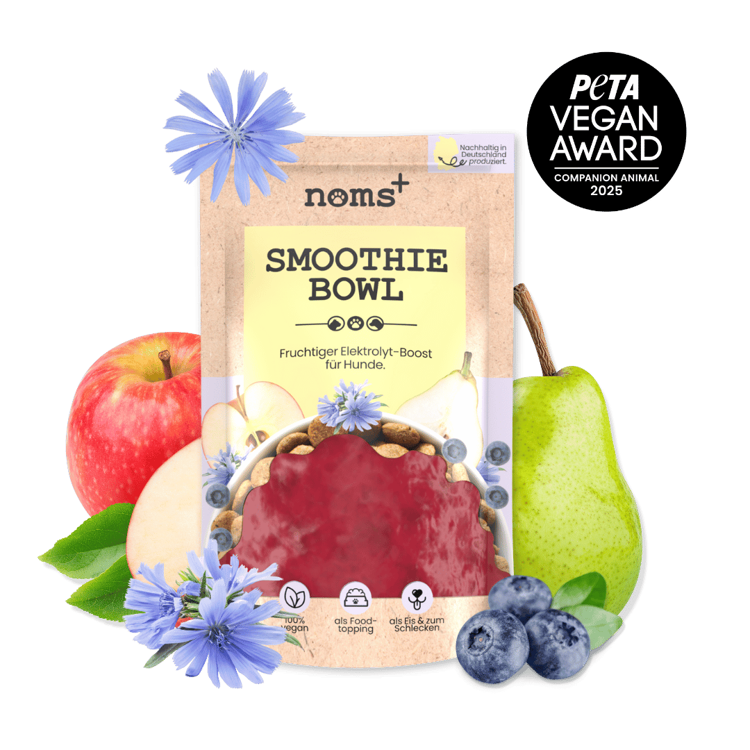 noms+ Hunde Smoothie-Bowl – fruchtiger Elektrolyt-Booster 200g