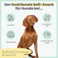 Bild in Galerie-Betrachter laden, noms+ Haut & Fell Komplex für Hunde | ecopetique
