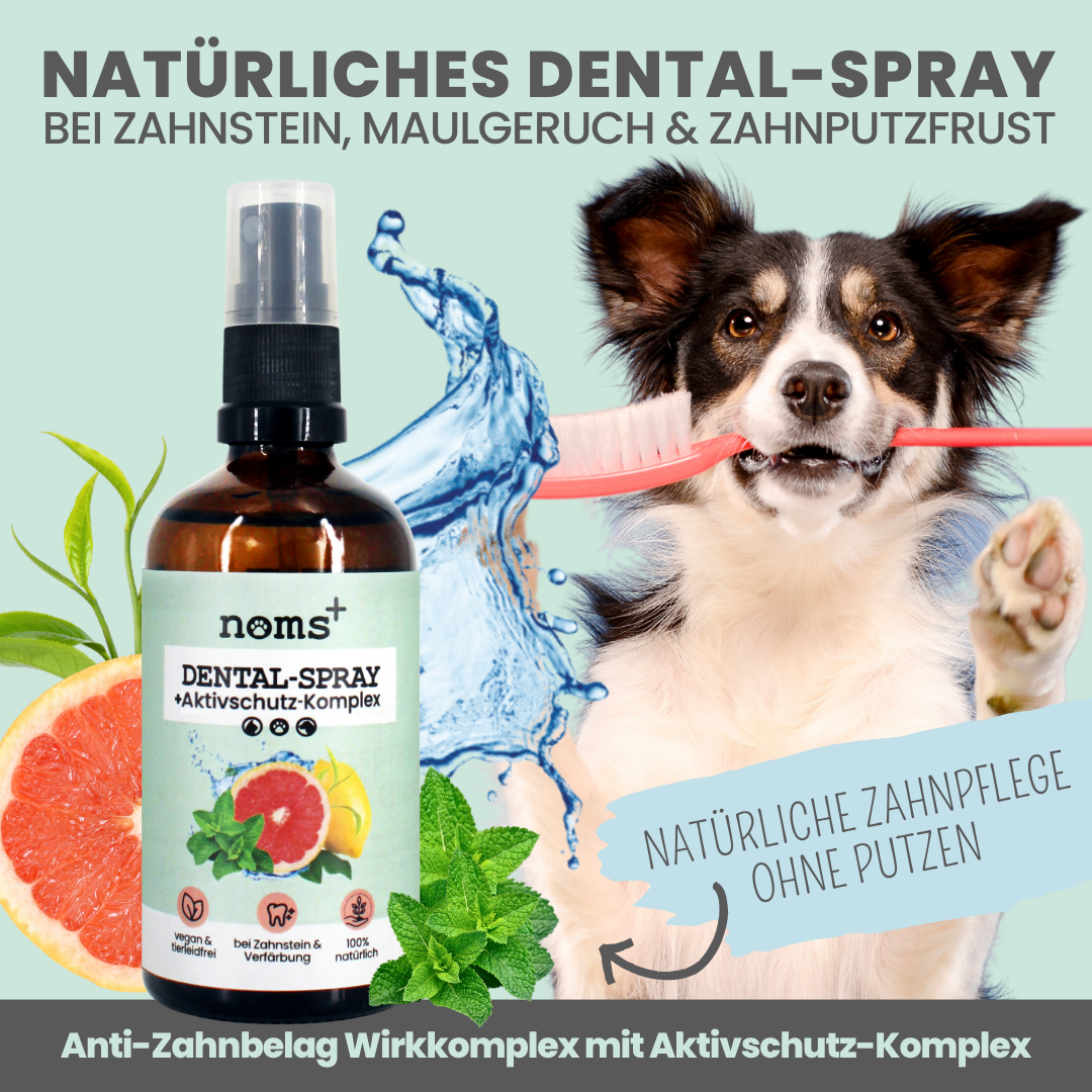 Dentalspray bei Zahnstein für Hunde & Katzen