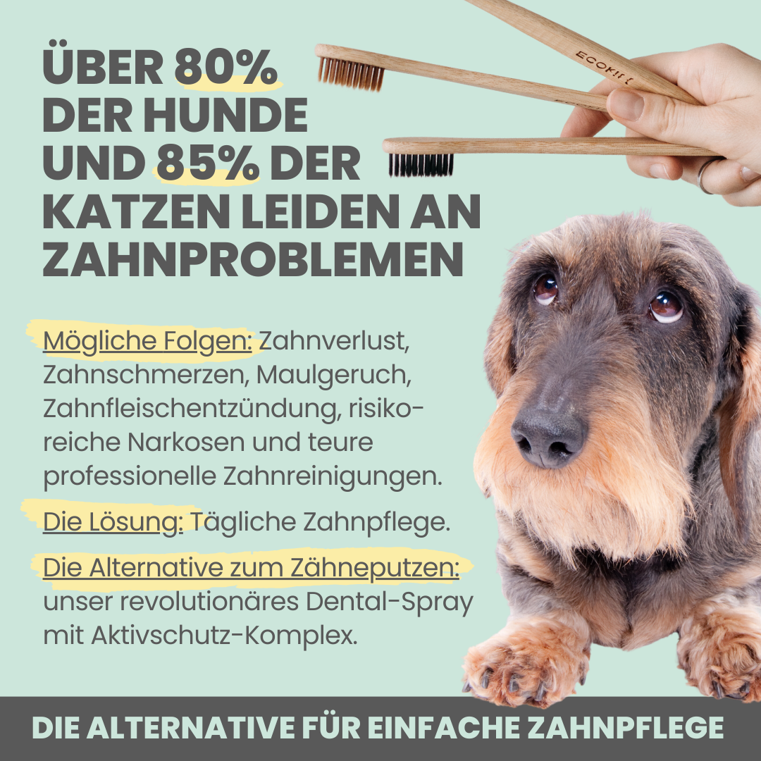 Dentalspray bei Zahnstein für Hunde & Katzen