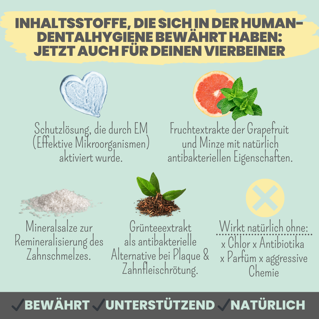 Dentalspray bei Zahnstein für Hunde & Katzen