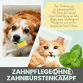 Bild in Galerie-Betrachter laden, Dentalspray bei Zahnstein für Katzen und Hunde
