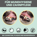 Bild in Galerie-Betrachter laden, Dentalspray bei Zahnstein für Hunde & Katzen
