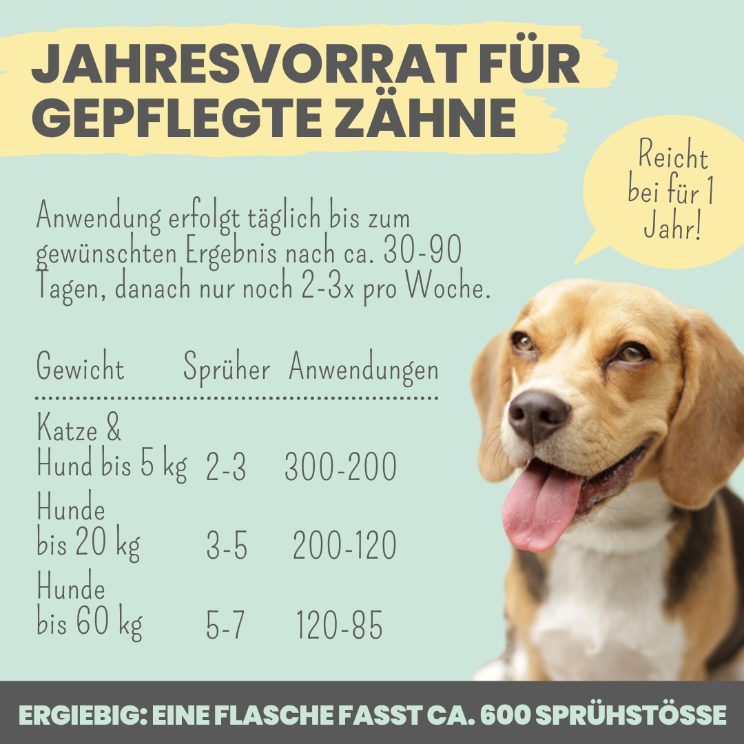 Dentalspray bei Zahnstein für Hunde & Katzen