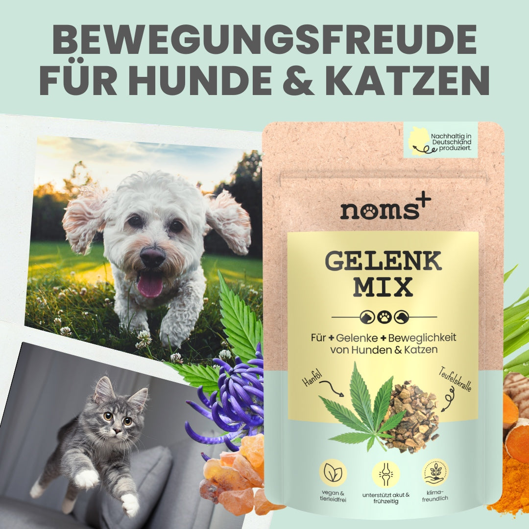 Gelenkmix für Hunde & Katzen mit Teufelskralle, Kurkuma & Glucosamin