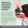 Bild in Galerie-Betrachter laden, Kräuter Dentals für Hunde zur Zahn- und Darmpflege
