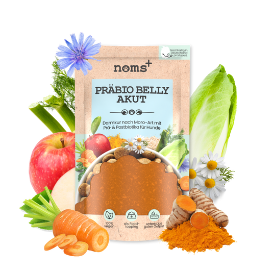 Präbio Belly Akut: pflanzenbasierte Darmkur für Hunde nach Moro-Art / 200g