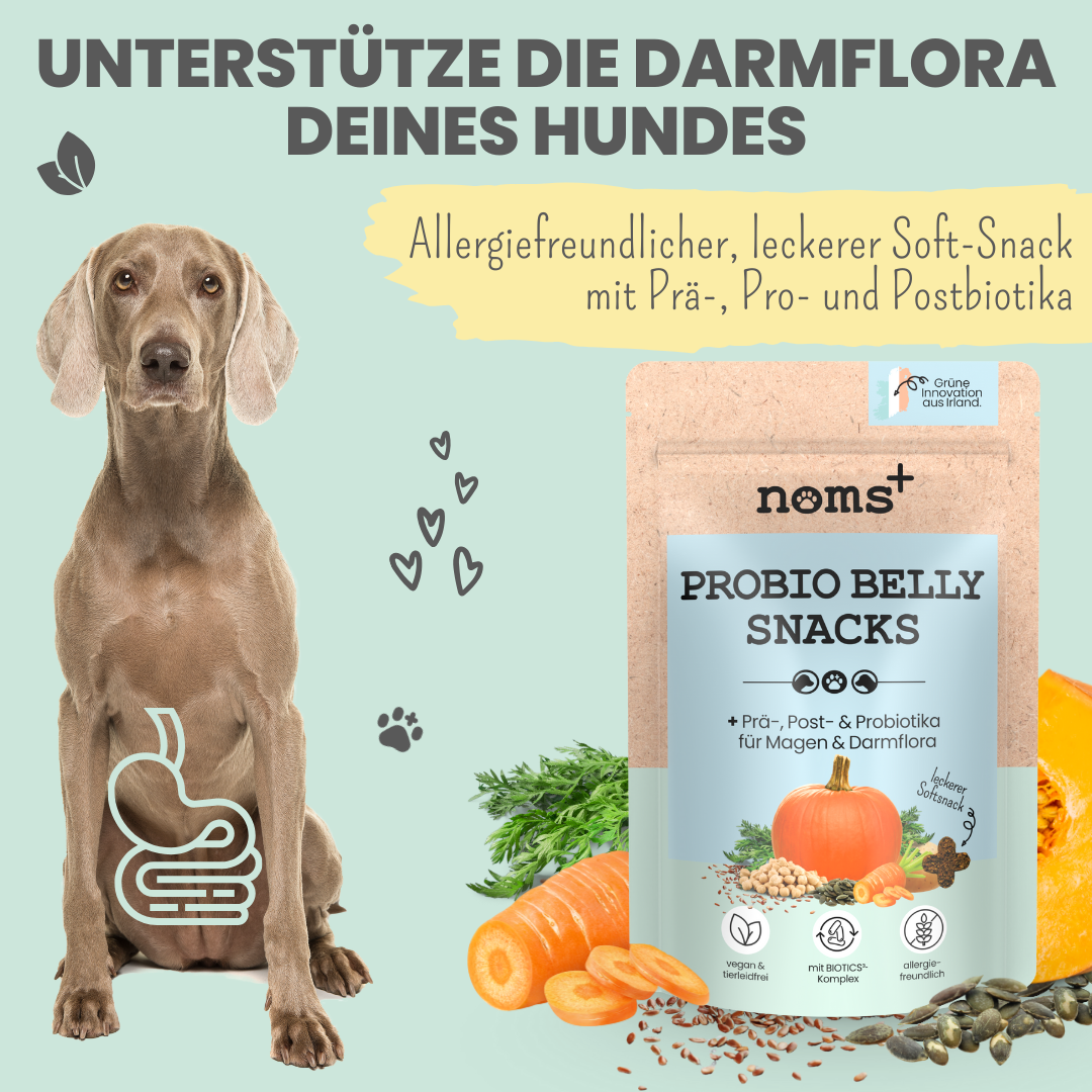Probio Belly Snacks für Hunde mit BIOTICS³-Komplex: Präbiotika, Probiotika & Postbiotika