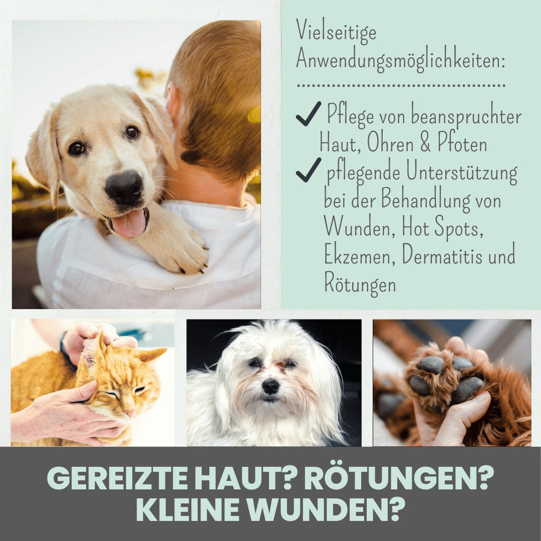 noms+ Silberspray für Hunde & Katzen 50 ppm – kolloidales Silber zur sanften Hautpflege 🐾🌿