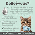 Bild in Galerie-Betrachter laden, noms+ Silberspray für Hunde & Katzen 50 ppm – kolloidales Silber zur sanften Hautpflege 🐾🌿
