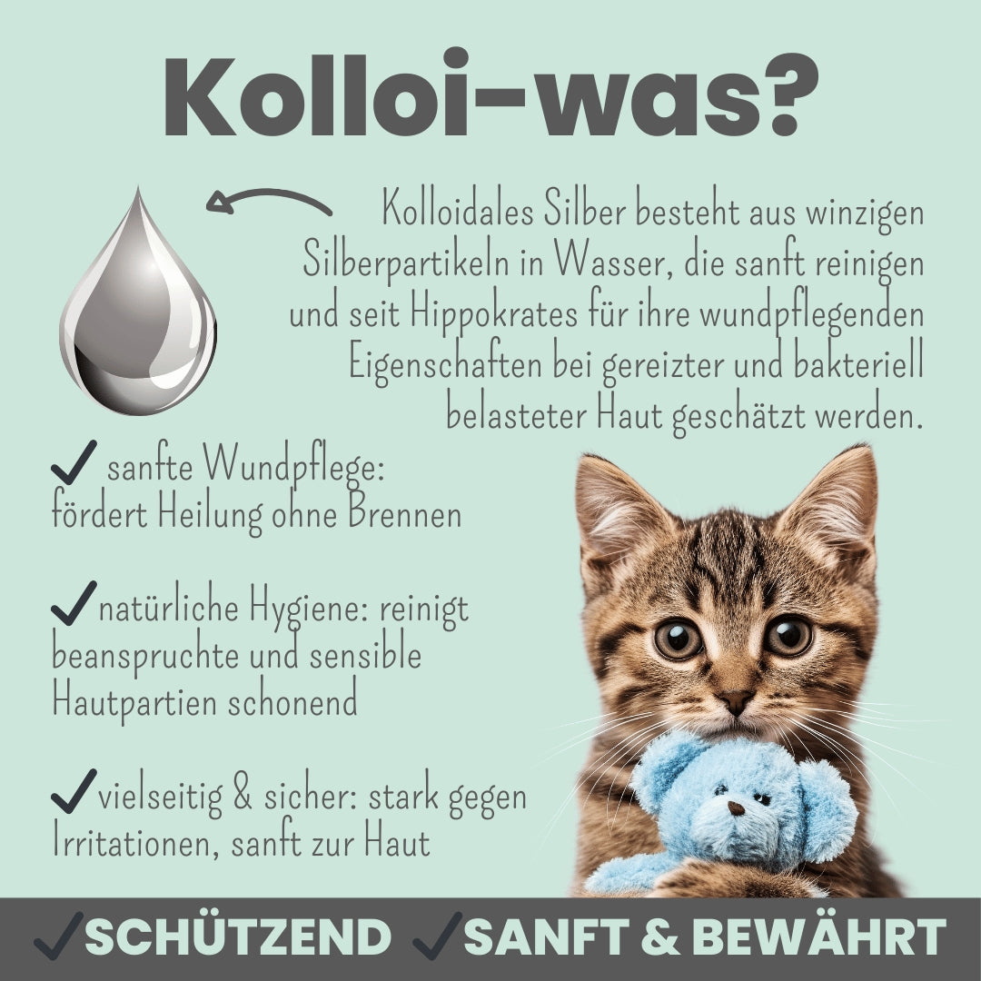 noms+ Silberspray für Hunde & Katzen 50 ppm – kolloidales Silber zur sanften Hautpflege 🐾🌿
