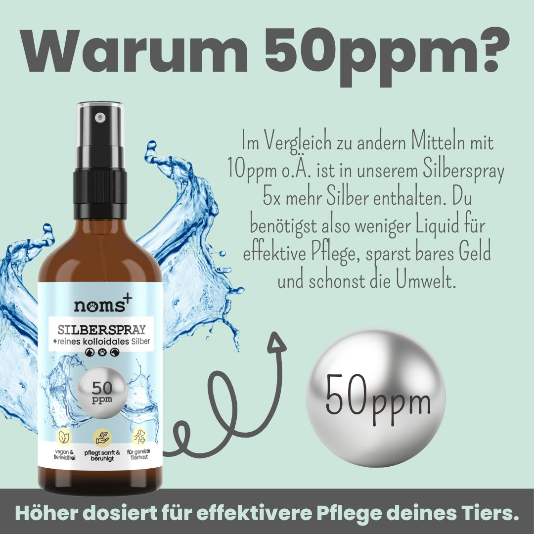 noms+ Silberspray für Hunde & Katzen 50 ppm – kolloidales Silber zur sanften Hautpflege 🐾🌿