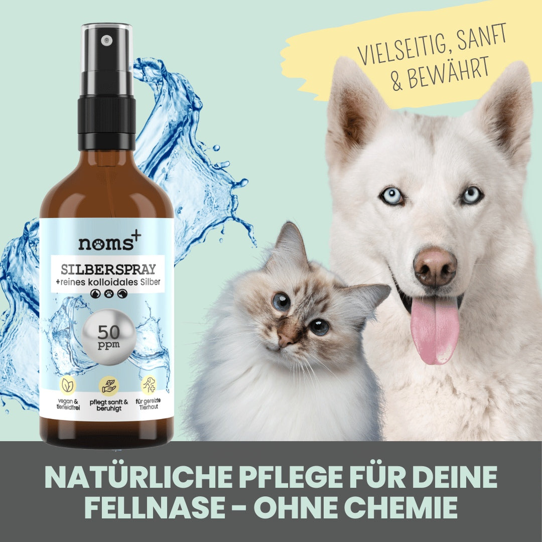 noms+ Silberspray für Hunde & Katzen 50 ppm – kolloidales Silber zur sanften Hautpflege 🐾🌿