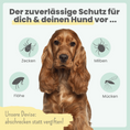Bild in Galerie-Betrachter laden, Zpray für Hunde & Menschen – natürlicher Schutz vor Zecken, Flöhen & Mücken
