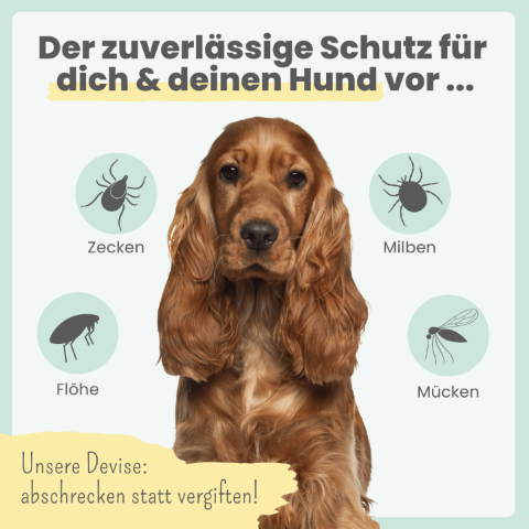 Zpray für Hunde & Menschen – natürlicher Schutz vor Zecken, Flöhen & Mücken